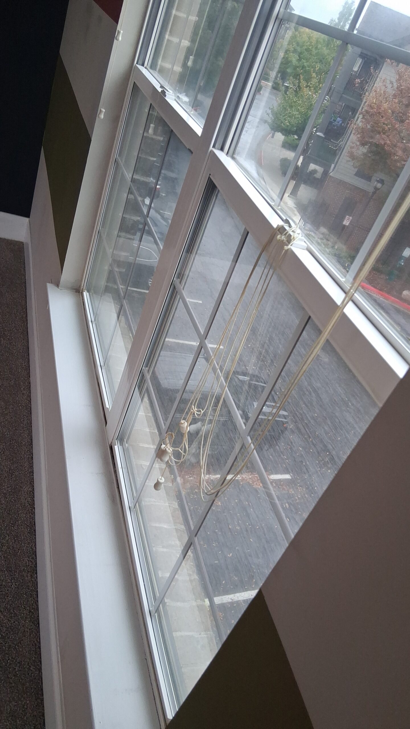 Professional deep cleaning by Mkleaning on beautifully maintained high-end windows in Smyrna, meticulously cleaned and cared for.