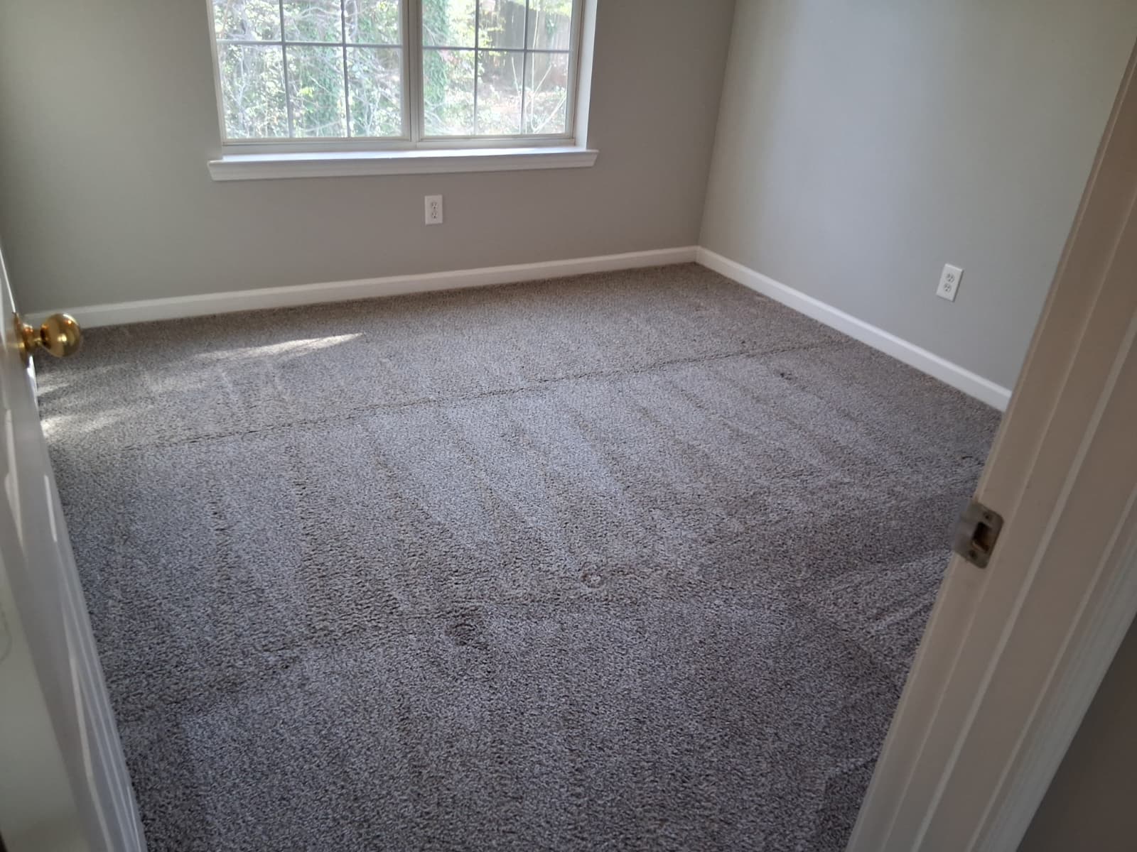 Professional carpet cleaning by Mkleaning in Smyrna, showing a [Nome do Ambiente] carpet thoroughly vacuumed to remove debris before deep carpet shampoo washing.
