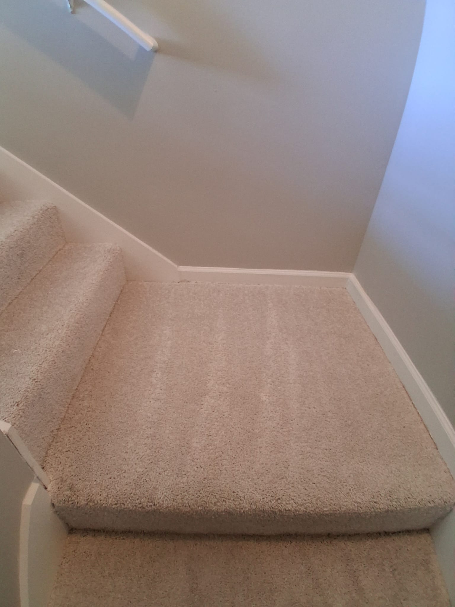 Professional carpet shampoo cleaning on residential stairs to remove dirt and restore freshness