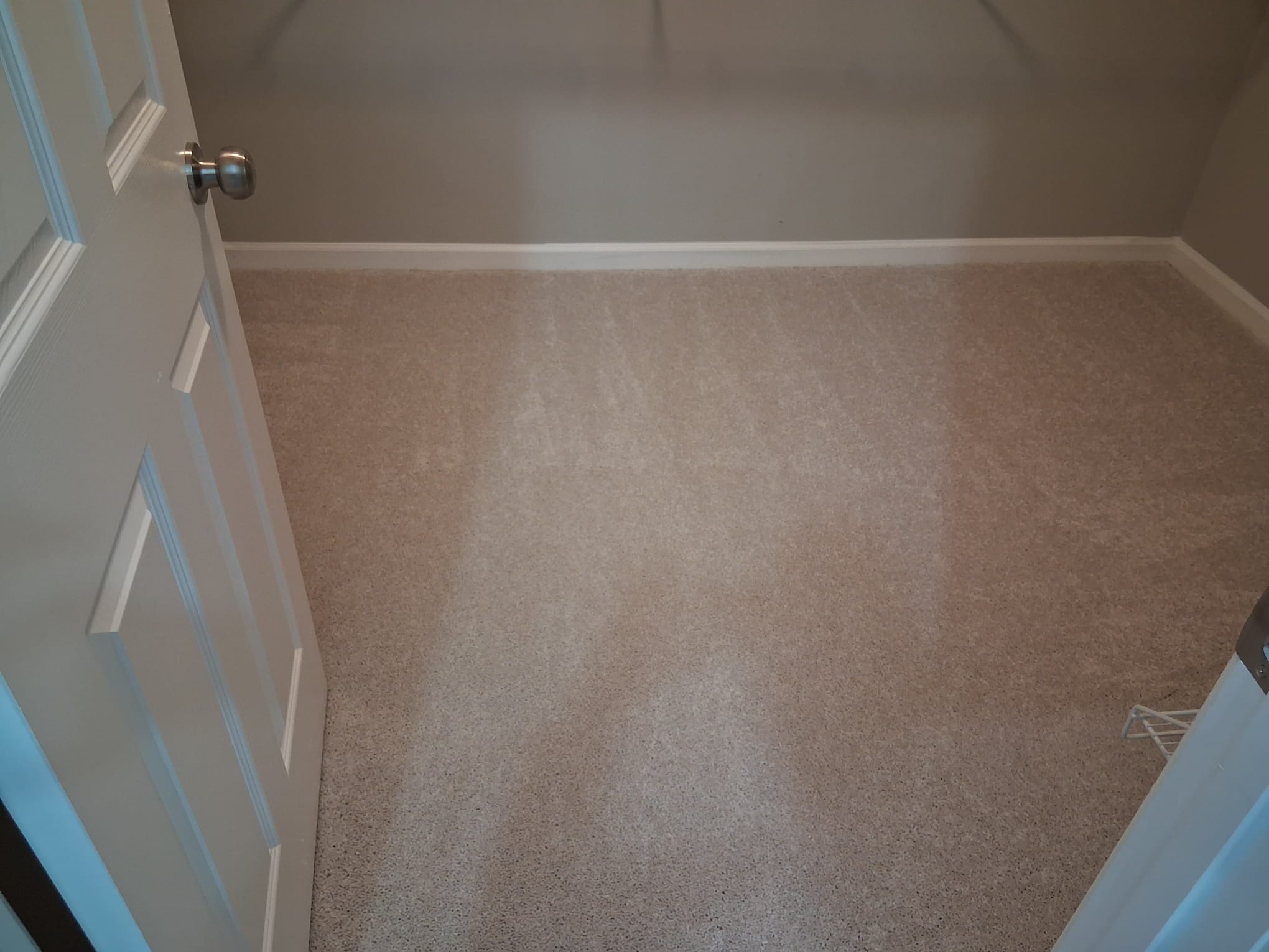 Professional carpet shampoo cleaning inside a residential closet for deep dirt and odor removal
