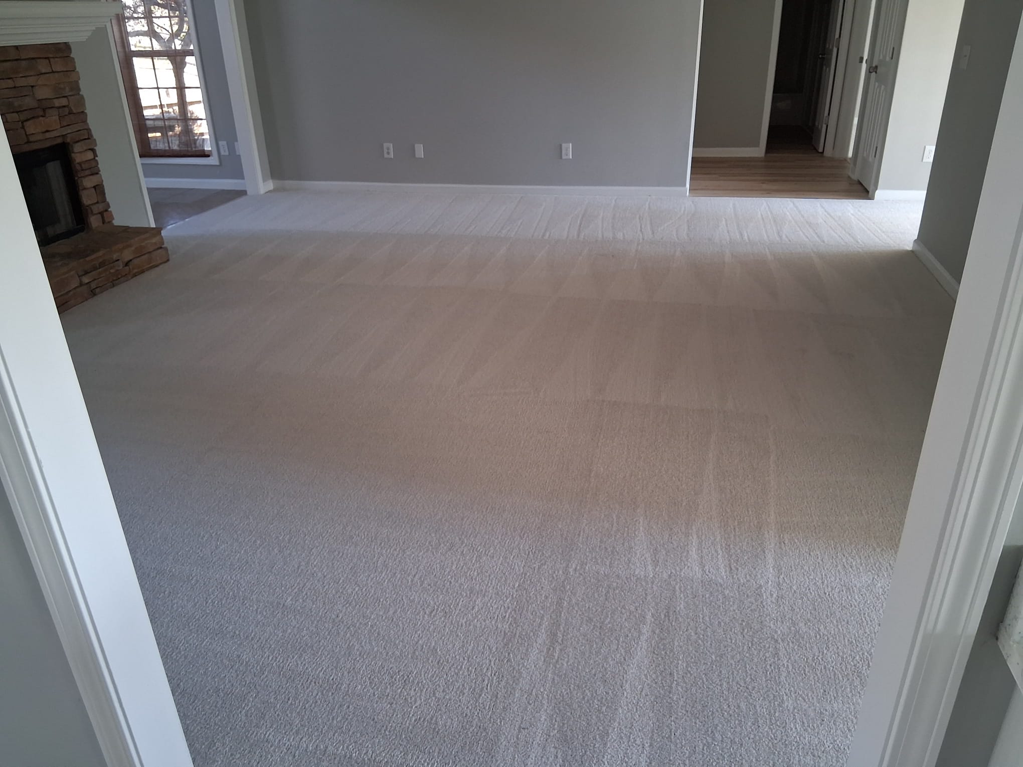 Professional carpet shampoo cleaning in a residential living room for deep dirt removal and renewed freshness