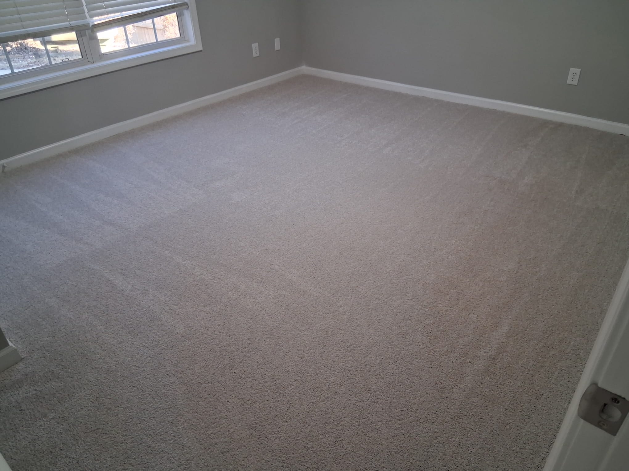 Professional carpet shampoo cleaning in a residential bedroom for deep dirt removal and renewed freshness